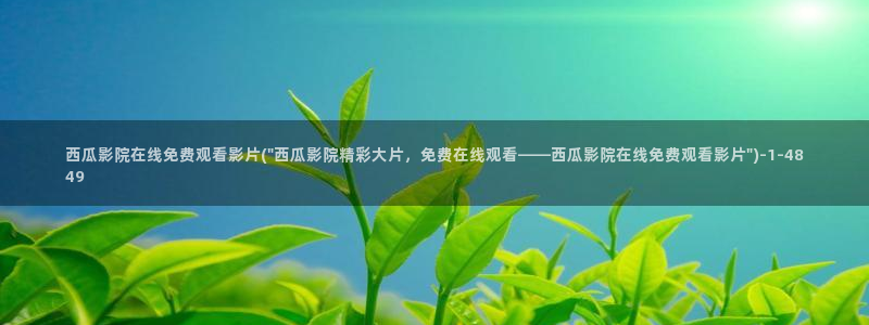 西瓜电影大全免费